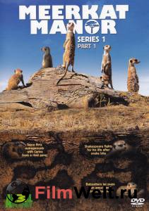     ( 2005  2008) Meerkat Manor [2005 (4 )]  