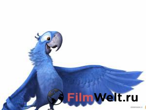   2 / Rio2   