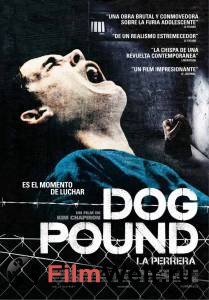      Dog Pound 2009 