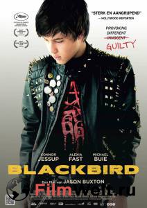 ׸  Blackbird 2012   