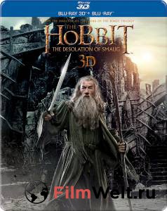 :   / The Hobbit: The Desolation of Smaug / (2013)  