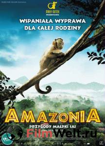 :    - Amazonia - 2013    