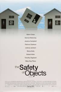     The Safety of Objects 2001 
