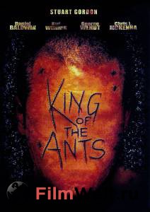   King of the Ants  