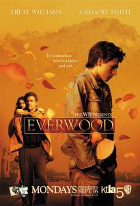   ( 2002  2006) Everwood (2002 (4 ))   