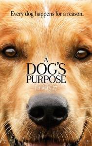   / A Dog's Purpose / 2017   