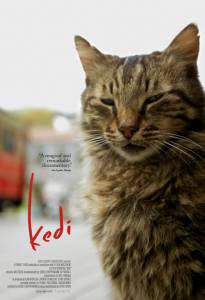 Кино Город кошек - Kedi - (2016) смотреть онлайн бесплатно Кино Город кошек - Kedi - (2016) смотреть онлайн бесплатно