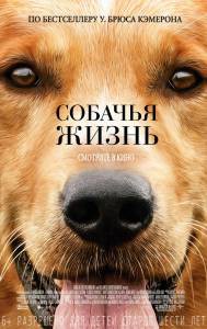 Смотреть кинофильм Собачья жизнь - (2017) онлайн Смотреть кинофильм Собачья жизнь - (2017) онлайн