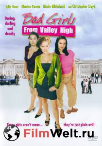       Bad Girls from Valley High (2005)   