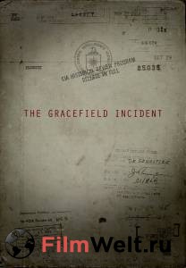     The Gracefield Incident 2017 