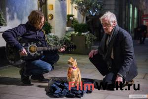        / A Street Cat Named Bob / (2016) 