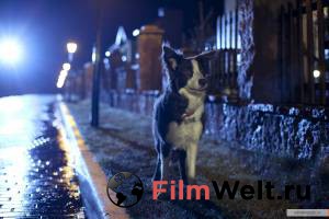 �������� ���� �������� - 2014 ������