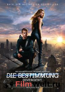 ���� ������ ��������� Divergent 2014 �������� ���������