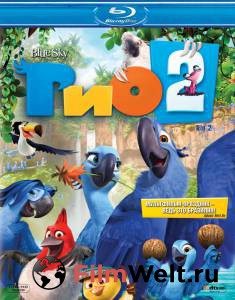 ������ ���� ���2 - 2014