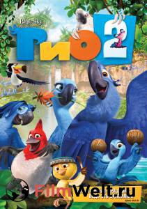 ���� ������ ���2 �������� ���������