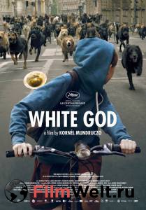 Смотреть интересный фильм Белый Бог (2014) онлайн