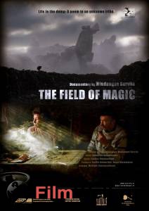     The Field of Magic 
