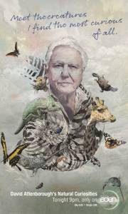    .    ( 2013  ...) - David Attenborough's Natural Curiosities - (2013) 