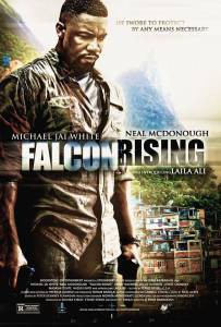     - Falcon Rising  