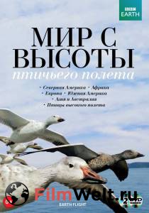 Смотреть онлайн BBC: Мир с высоты птичьего полета (сериал 2011 – 2012) Earthflight Смотреть онлайн BBC: Мир с высоты птичьего полета (сериал 2011 – 2012) Earthflight