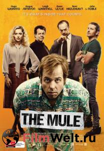    The Mule [2014]  
