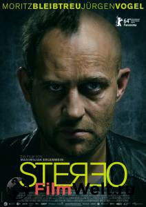    / Stereo / 2014 