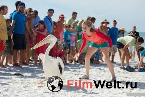 ���������� ������ ����� ������� ��������2