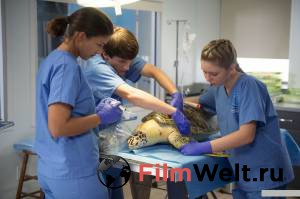 ������� ��������2 �������� ������ ��� �����������