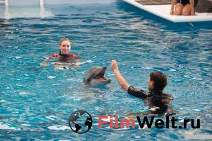 История дельфина 2 Dolphin Tale 2 [2014] онлайн без регистрации
