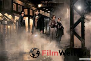        Fantastic Beasts and Where to Find Them  