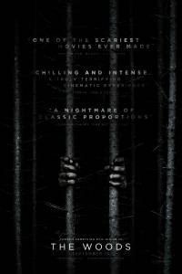 Фильм Ведьма из Блэр: Новая глава Blair Witch (2016) смотреть онлайн Фильм Ведьма из Блэр: Новая глава Blair Witch (2016) смотреть онлайн