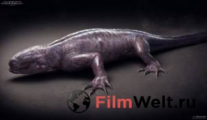 ������ ���� � ������ ������