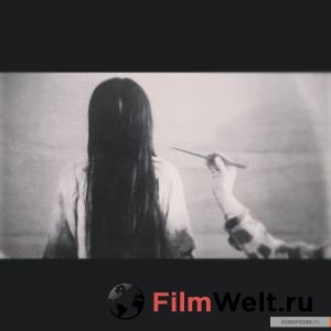 ������ 2016 ������ ���� �� ������