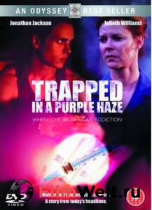       () - Trapped in a Purple Haze - [2000]