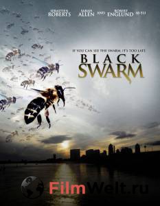     () / Black Swarm / 2007 