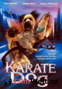      () - The Karate Dog  