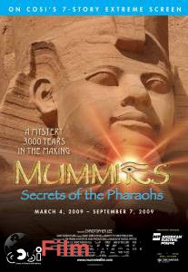   :   3D / Mummies: Secrets of the Pharaohs / [2007]