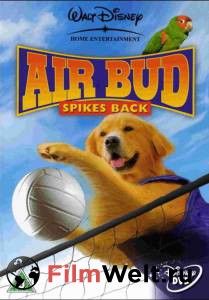   :  () - Air Bud: Spikes Back 