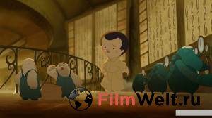 ������ ���� ��� �������� ���� Nocturna