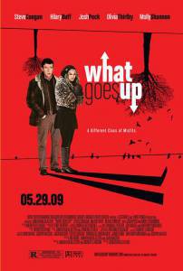      / What Goes Up / 2009