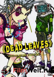 ̸ :   () / Dead Leaves   