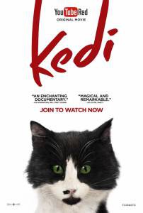 Фильм онлайн Город кошек Kedi без регистрации Фильм онлайн Город кошек Kedi без регистрации