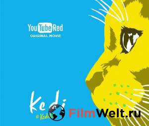 Онлайн кино Город кошек - Kedi - 2016 смотреть