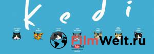 Город кошек Kedi (2016) онлайн фильм бесплатно Город кошек Kedi (2016) онлайн фильм бесплатно