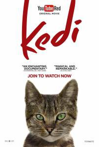 Смотреть кинофильм Город кошек / Kedi / 2016 бесплатно онлайн Смотреть кинофильм Город кошек / Kedi / 2016 бесплатно онлайн