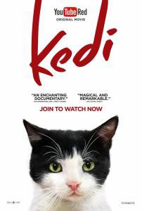 Фильм онлайн Город кошек - 2016 Фильм онлайн Город кошек - 2016
