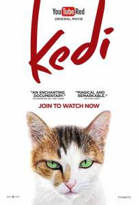 Город кошек / Kedi / 2016 онлайн без регистрации Город кошек / Kedi / 2016 онлайн без регистрации