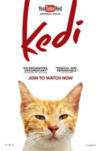 Фильм онлайн Город кошек Kedi (2016) без регистрации