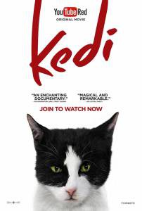 Смотреть Город кошек Kedi 2016 онлайн без регистрации Смотреть Город кошек Kedi 2016 онлайн без регистрации