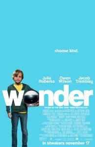     / Wonder / 2017 